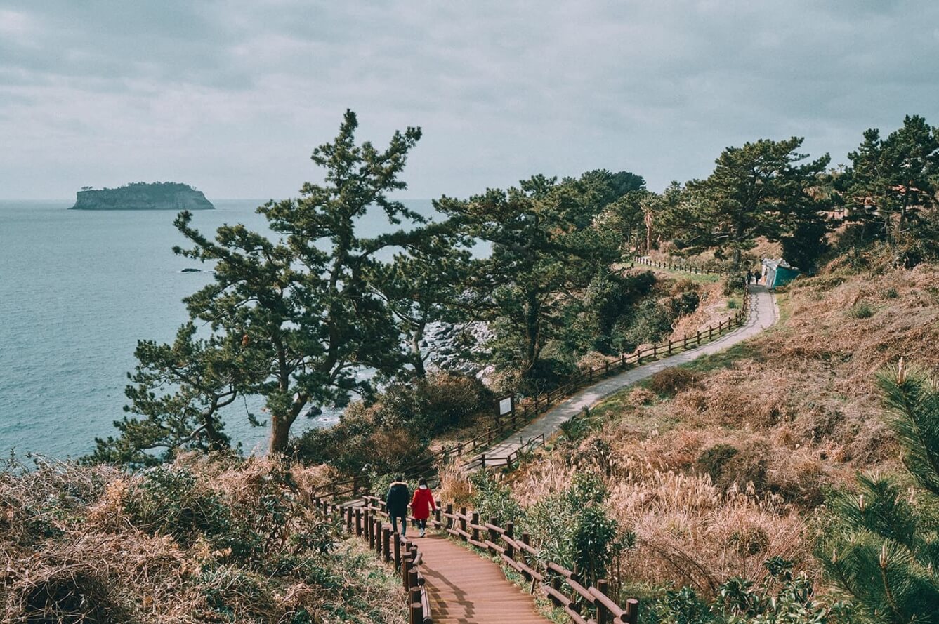 초보자도 쉽게 도전! 걷기 좋은 올레길 BEST 5 🌿