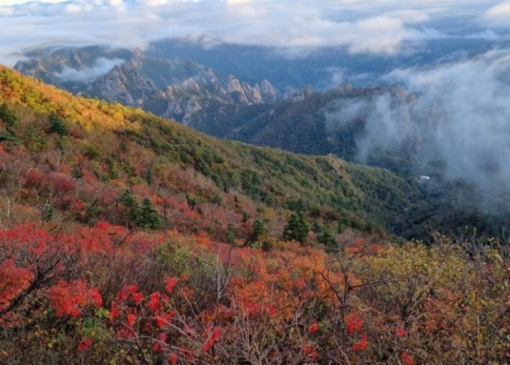 설악산 단풍시기
