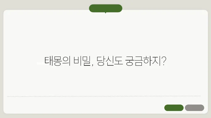 태몽 종류