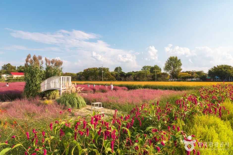 평택 가볼만한곳 베스트10