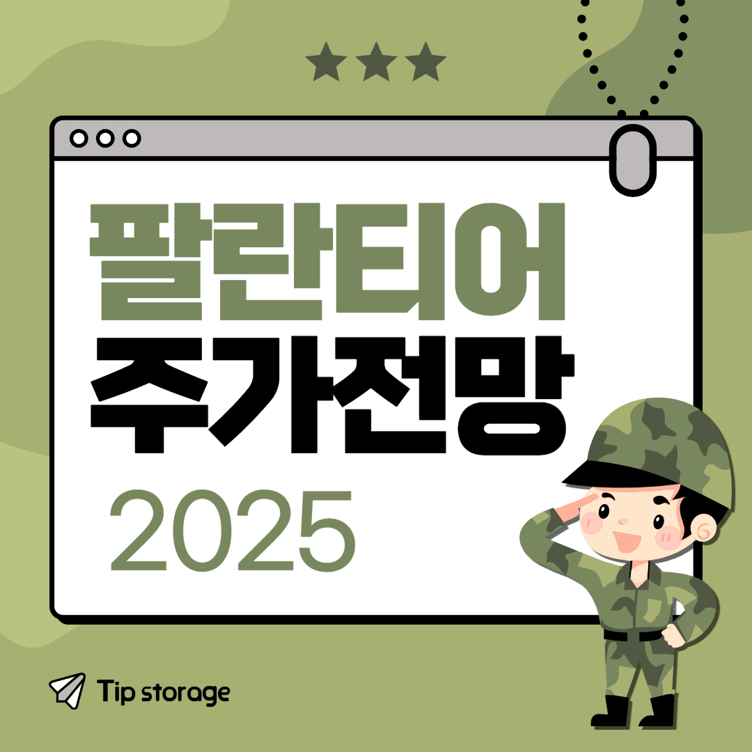 팔란티어 주가 전망 2025