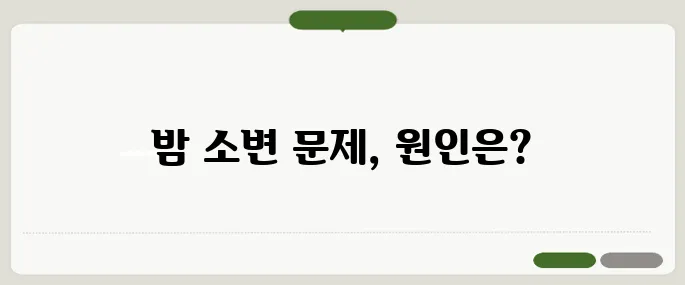 소변이 자주 마려운 증상 밤에 더 심하다면