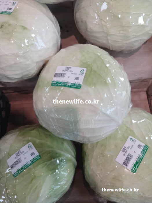 양배추 효능 조리법 찜기