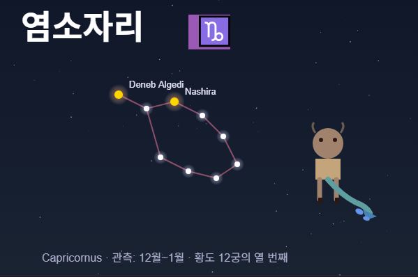 2026년 12별자리 운세 
