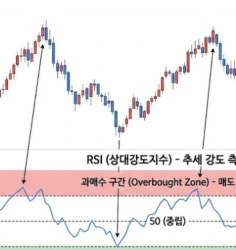 rsi보조지표 보는법 사이트 소개