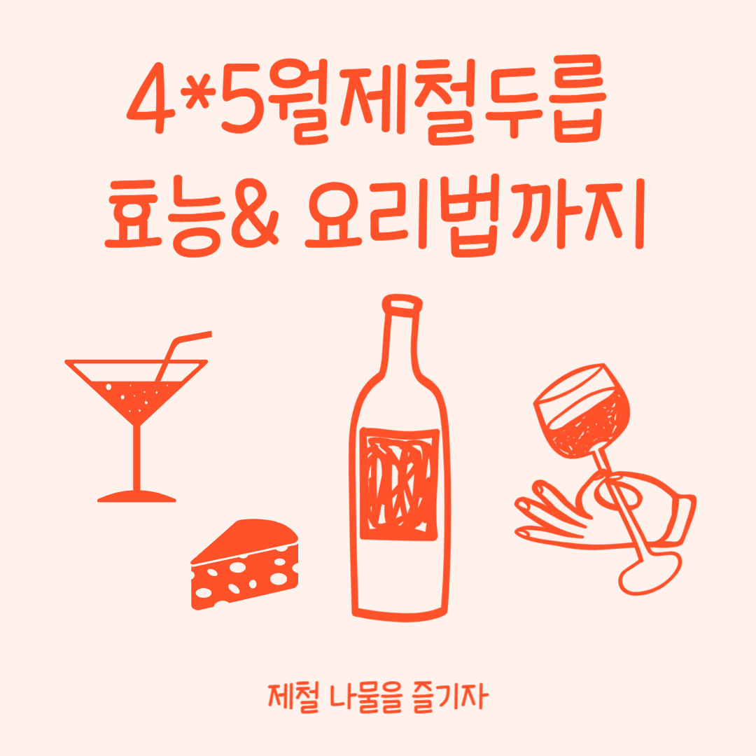 봄에 꼭 먹어야 할 두릅! 효능부터 맛있게 먹는 법까지