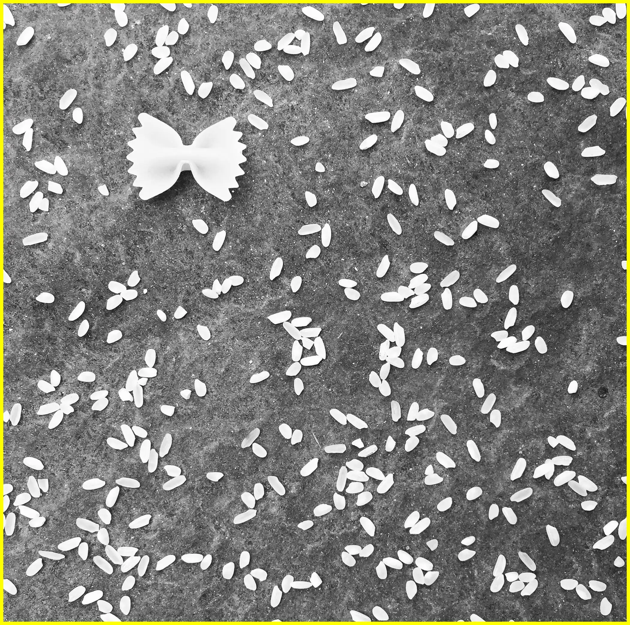 우리쌀 우리술 k-라이스페스타 일정 및 사전등록 무료관람 꿀팁