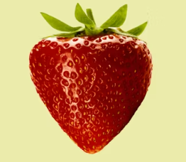 고지혈증에 좋은 음식 영양제 식단