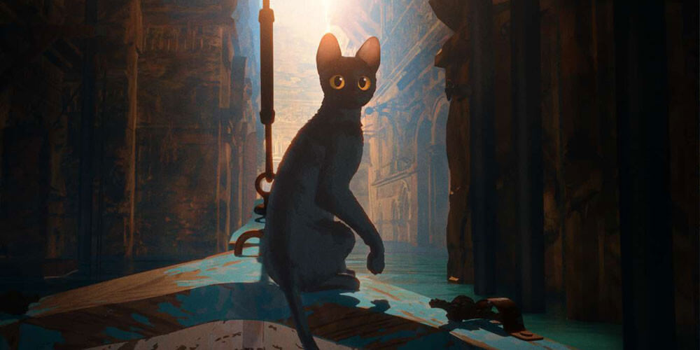 배의 앞머리에서 뒤를 돌아보는 고양이