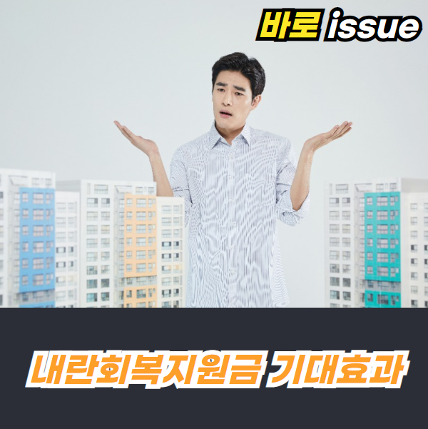 내란회복지원금-기대효과-한계점