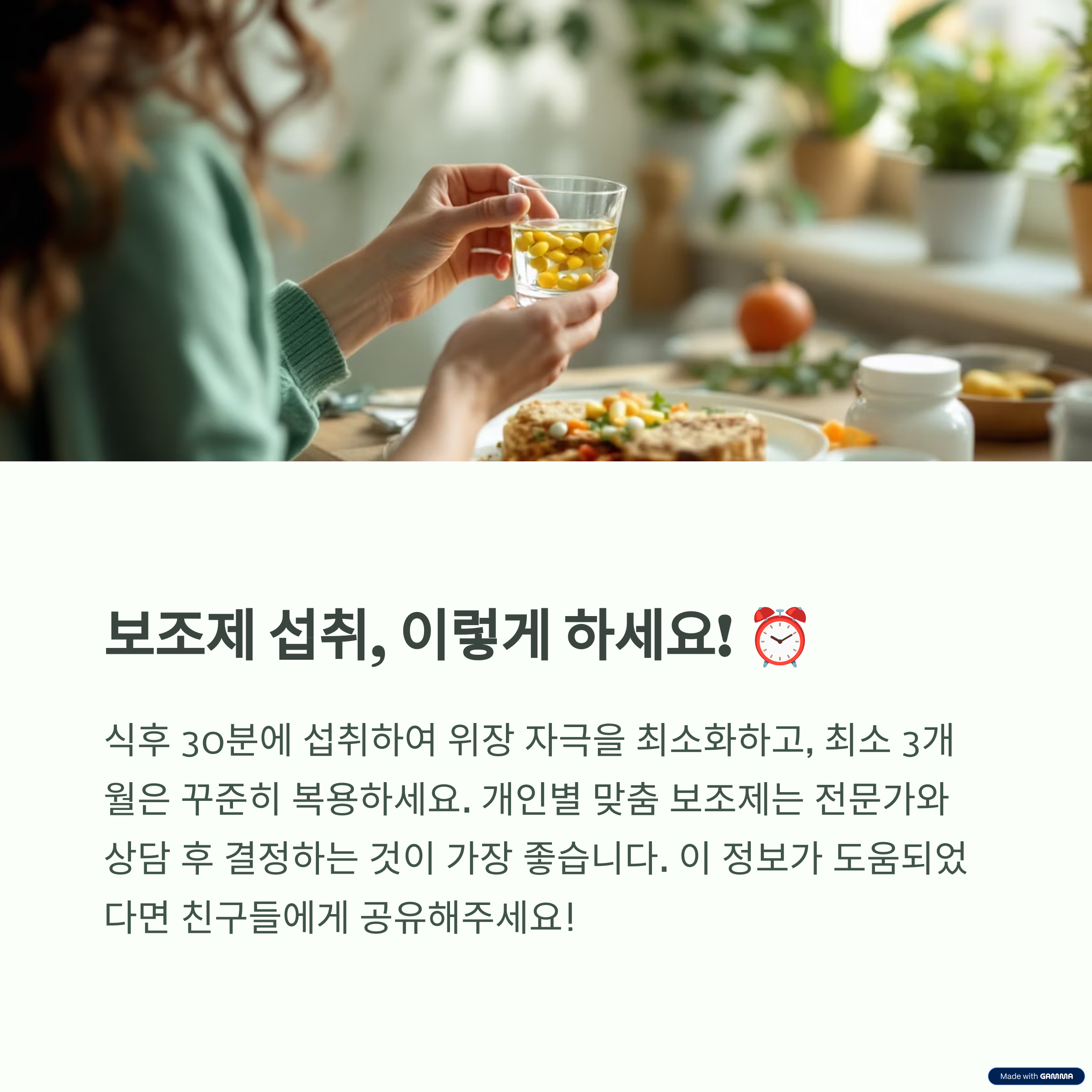 건강 보조식품 정리 10