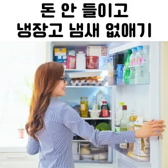 냉장고 냄새 김치통 밀폐와 랩 씌우기 식재료 분리 정리_7