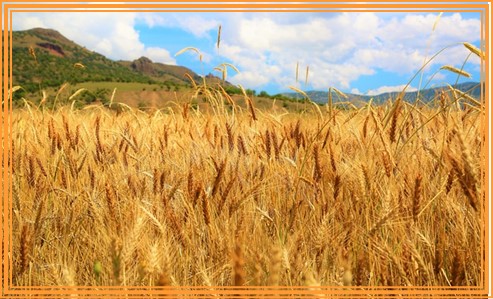 초등학교 여름방학기간 아이와 가볼만한곳