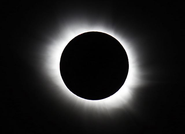 일식
