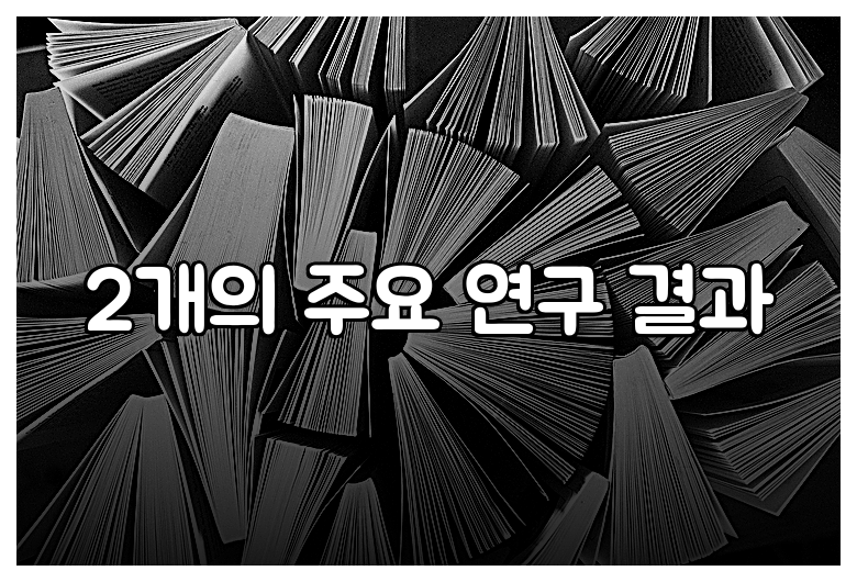 2개의 주요 연구 결과