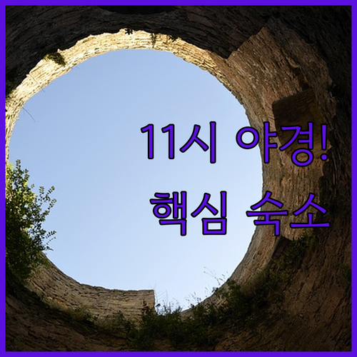 밤 11시 조명 켜지는 수원 화홍문 ..