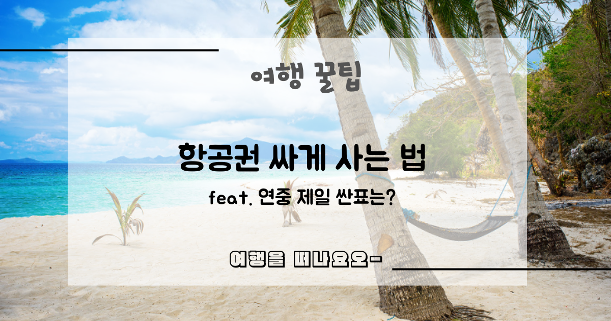 비행기표 할인석 예약
