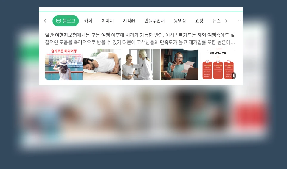 해외 여행자 보험_1_subsection