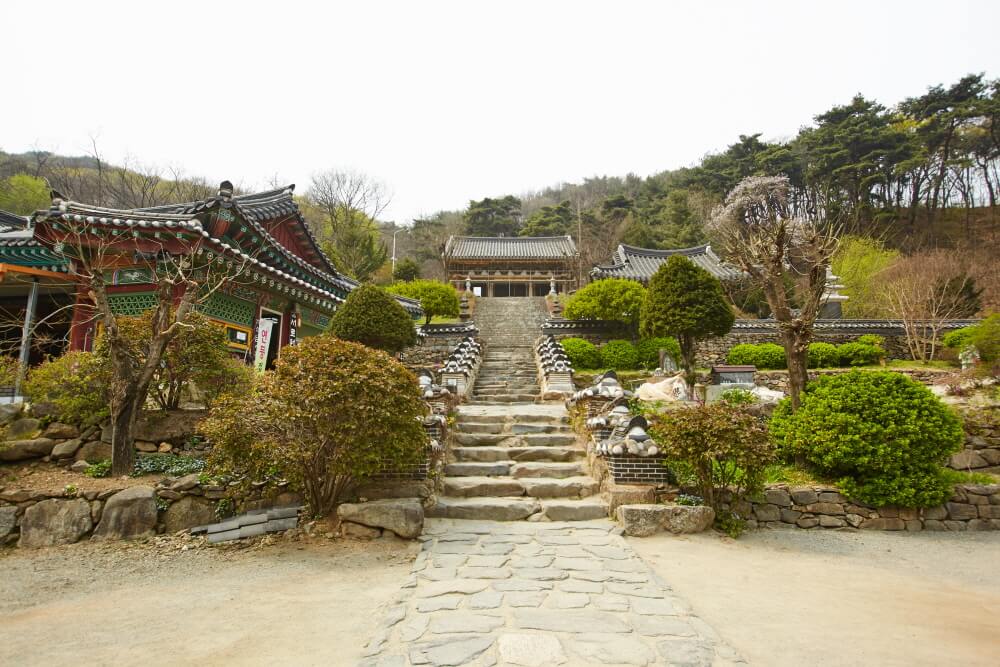 [경기둘레길 안성 41코스 경기물길] 서운산 숨결을 따라 마둔호수에서 청룡사까지