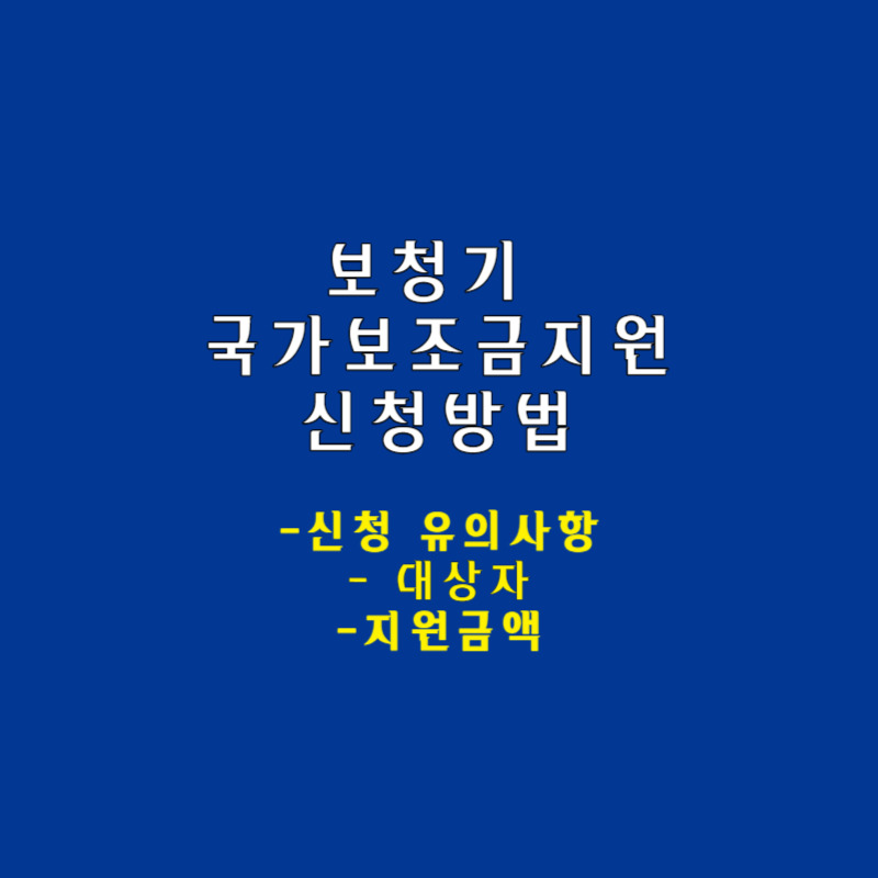 보청기 국가보조금지원
