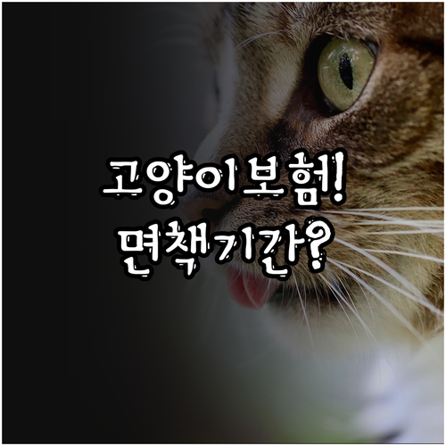 고양이 보험 면책기간부터 보장 비율까..