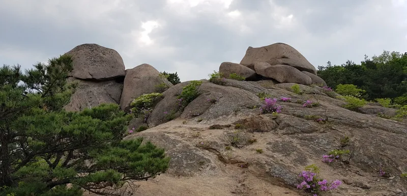 합천 황매산