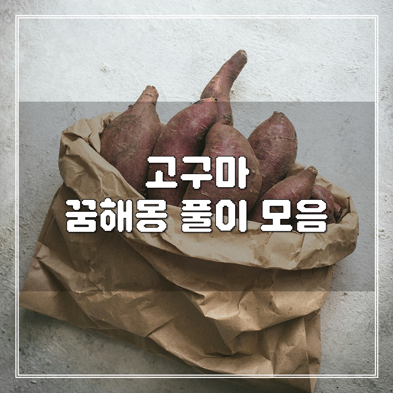 고구마 꿈해몽 풀이 모음 썸네일