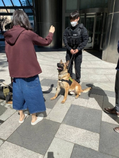 김건희 슬리퍼