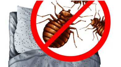 진드기 퇴치와 예방의 모든 것