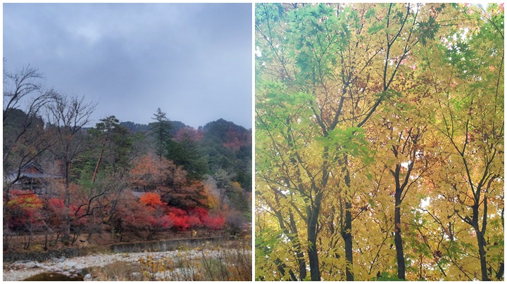 내장산