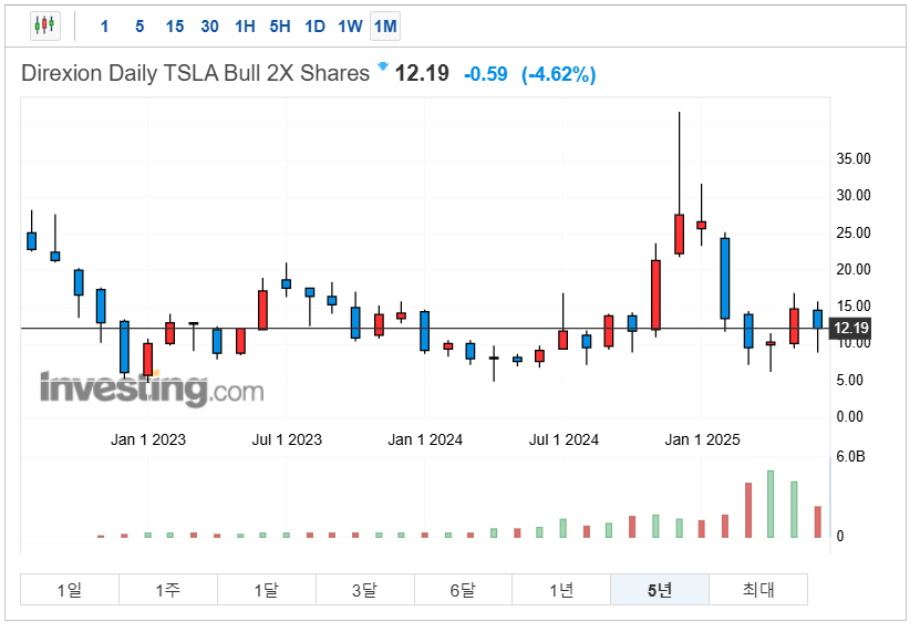 디렉시온 데일리 테슬라 불 2X 셰어즈