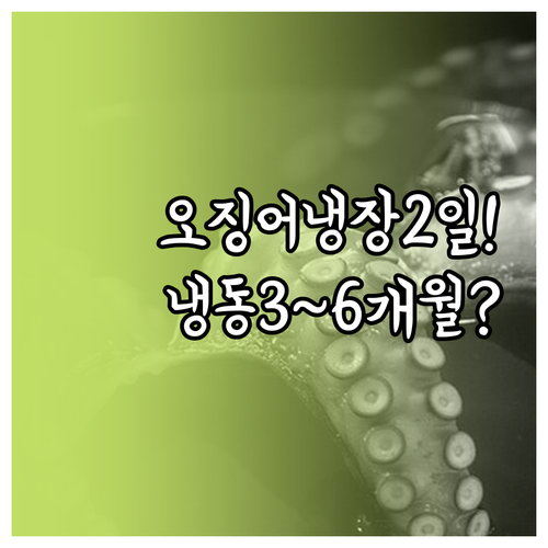 오징어 냉장보관은 1~2일, 냉동보관..