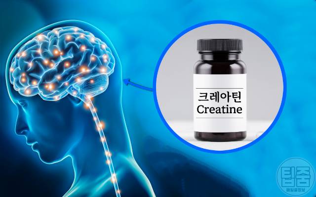 뇌에 좋은 영양제 크레아틴