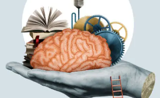 오늘도 밤새 공부했니? 공부는 머리가 아니라, 침대가 한다!