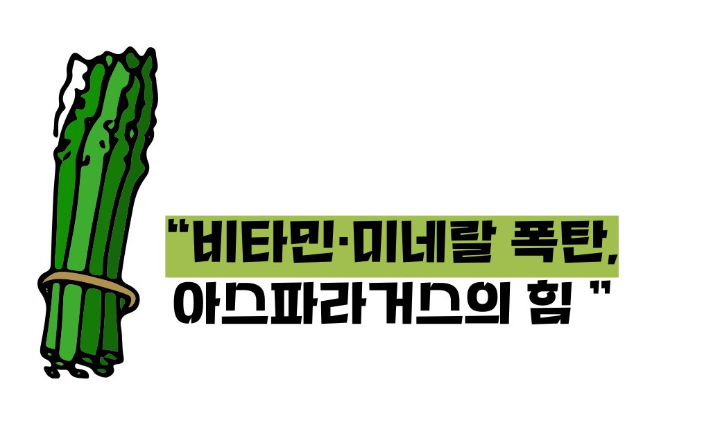 아스파라거스 효능