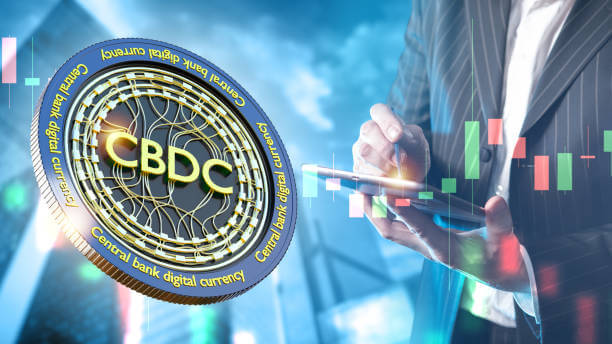 CBDC에 적합한 블록체인 플랫폼 비교