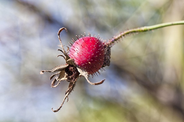 입술 포진 빨리낫는법 5