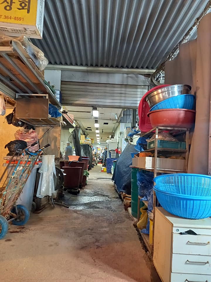 세계일주-여행도서