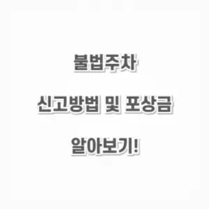 불법주차-신고방법 포상금