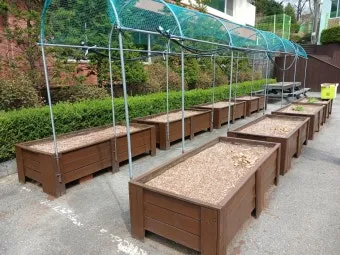 봄 텃밭 준비 토양 갈기 석회 퇴비 잡초 씨 제거_22