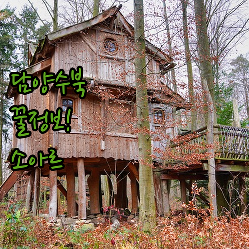 담양 수북시장 비 가림 시설 정보와 ..