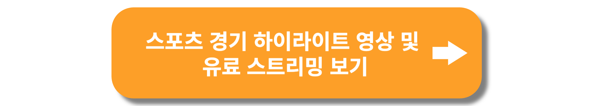 스포츠 실시간 중계 하이라이트 영상