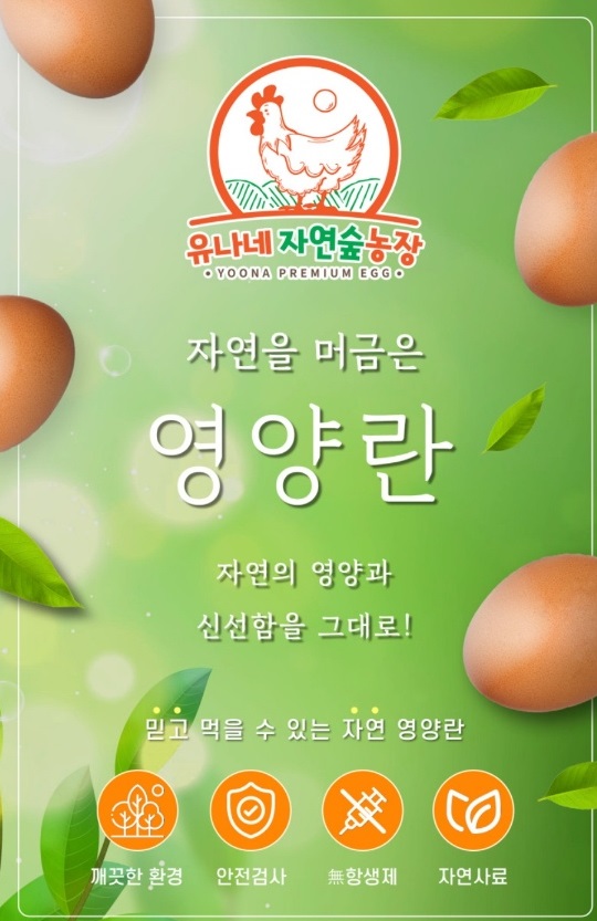 동네한바퀴-경기도-연천-유정란