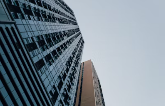 kb금융 배당금 지급일