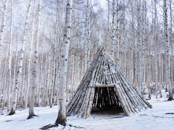 인제-자작나무숲-나무집