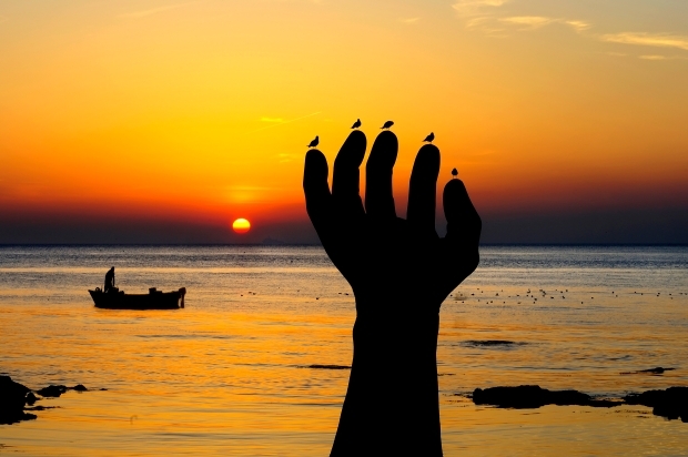 포항의 보석, 호미곶을 찾아서