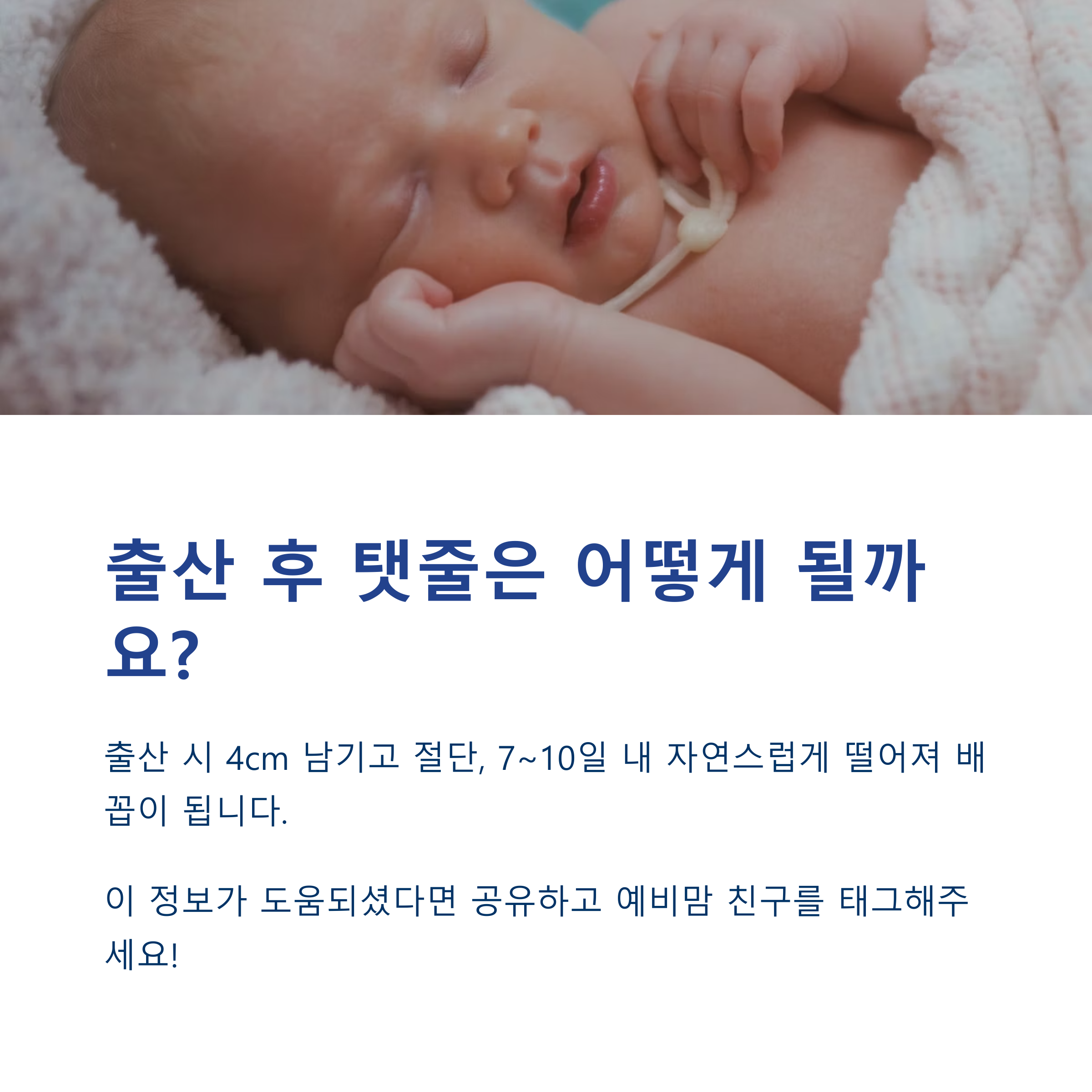 신생아의 배꼽에 연결된 탯줄이 보이는 모습과 함께, 출산 후 탯줄 절단과 배꼽 형성 과정을 설명한 인포그래픽 이미지