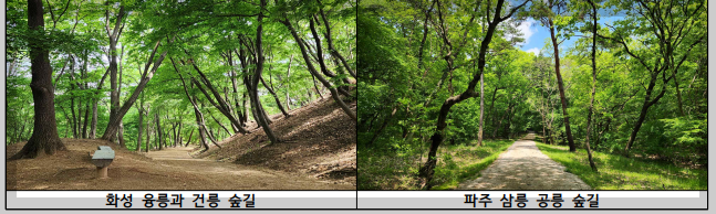 조선왕릉 숲길 8곳 개방, 숲길 상세 위치 총정리