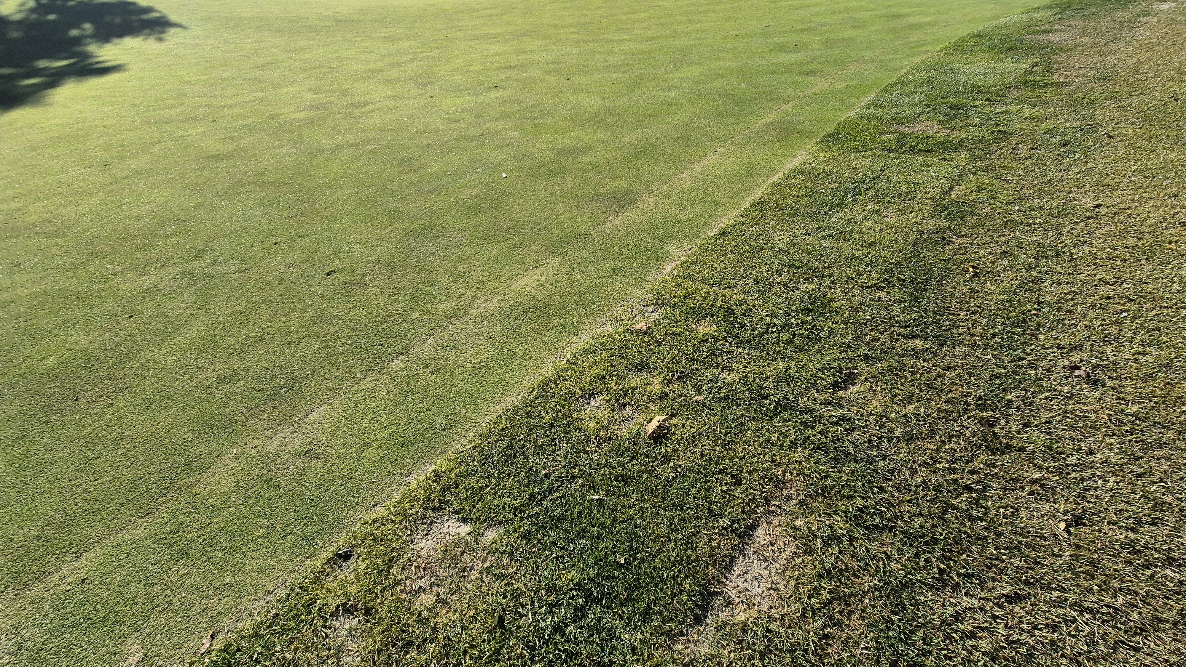 동촌gc 그린관리상태