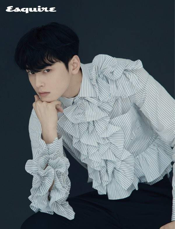 차은우 조세심판 청구 이유: 국세청 130억 세금 완납, 연예인 1인 기획사 실질과세 쟁점 정밀 분석
